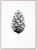 Paper Collective - 1:1 Pine Cone Kunstdruck - 1 - Vorschau