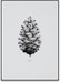 Paper Collective - 1:1 Pine Cone Kunstdruck - 1 - Vorschau