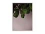 Paper Collective - Green Leaves - 01 - 1