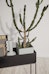 ferm LIVING - Plant Box Pflanzenständer - 1 - Vorschau