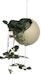 AYTM - Globe Hanging Flowerpot Hängeblumentopf - 2 - Vorschau