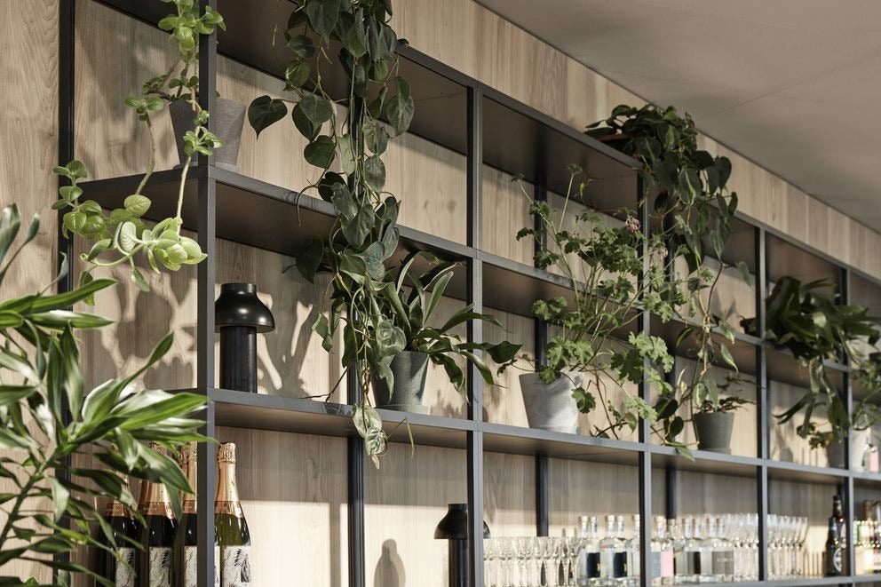 HAY Blumentopf mit Untersetzer kaufen | SCHNER WOHNEN-Shop