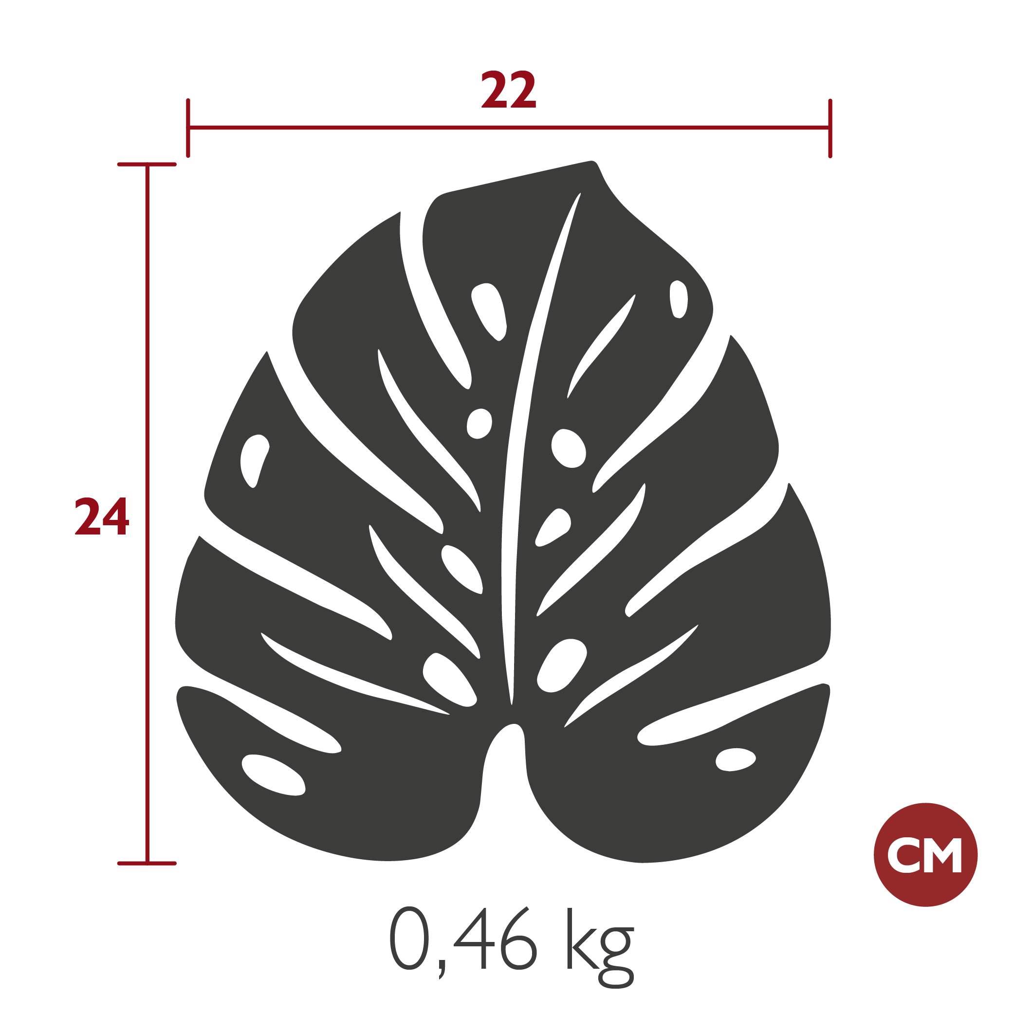 monstera gloriosum Philodendron Gloriosum M