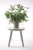 Urbanature - Spicepot Blumentopf 3er Set - beton - 4 - Vorschau