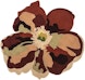 Nanimarquina - Flora Teppich - Blume 2 - 1 - Vorschau
