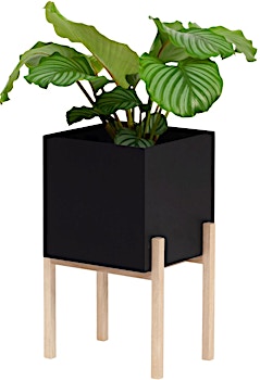 Design House Stockholm - Botanic Pedestal Pot Pflanztopf - anthrazit - 1