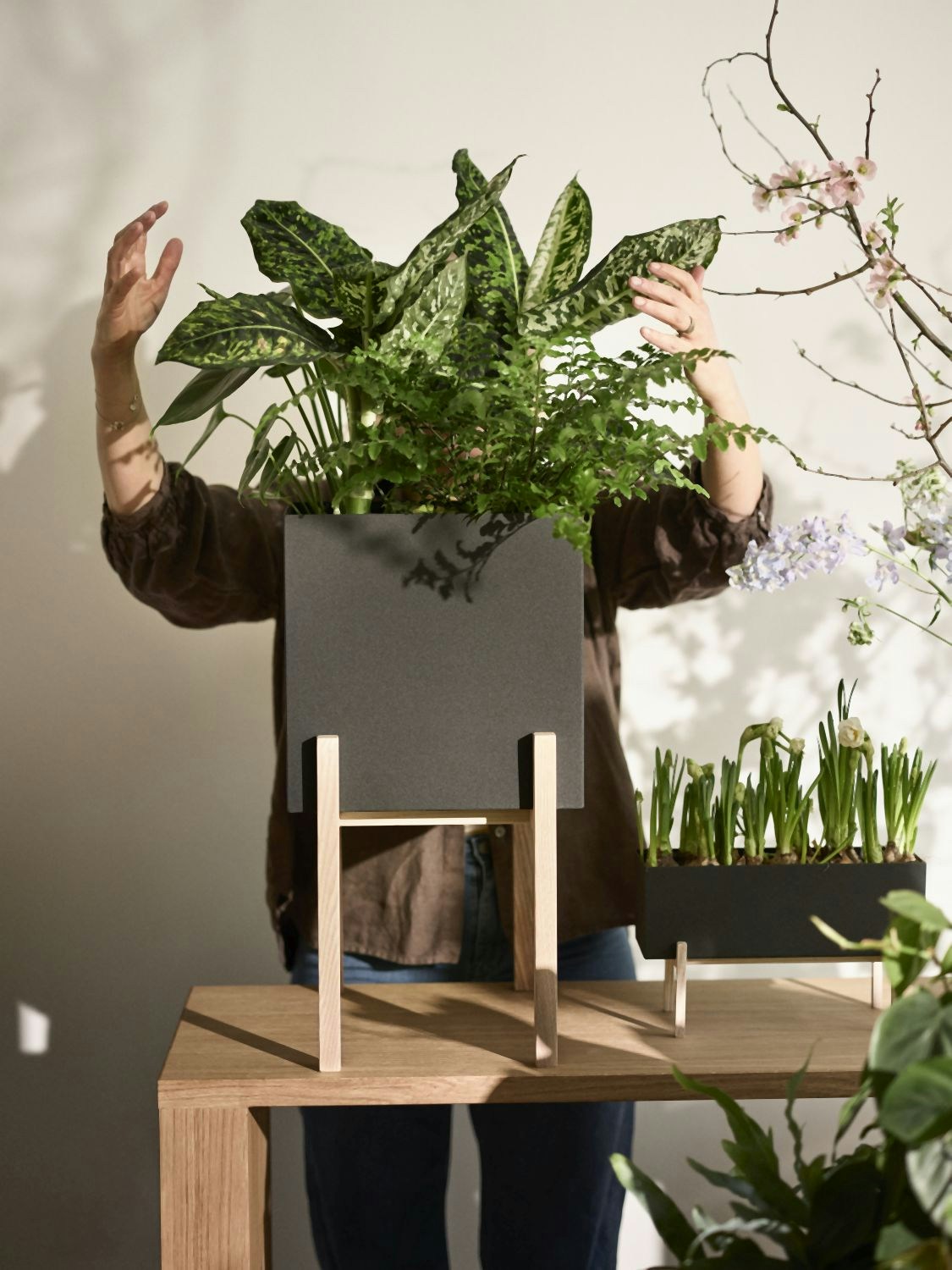 Design House Stockholm Botanic Pedestal Pot Pflanztopf - anthrazit kaufen |  SCHNER WOHNEN-Shop