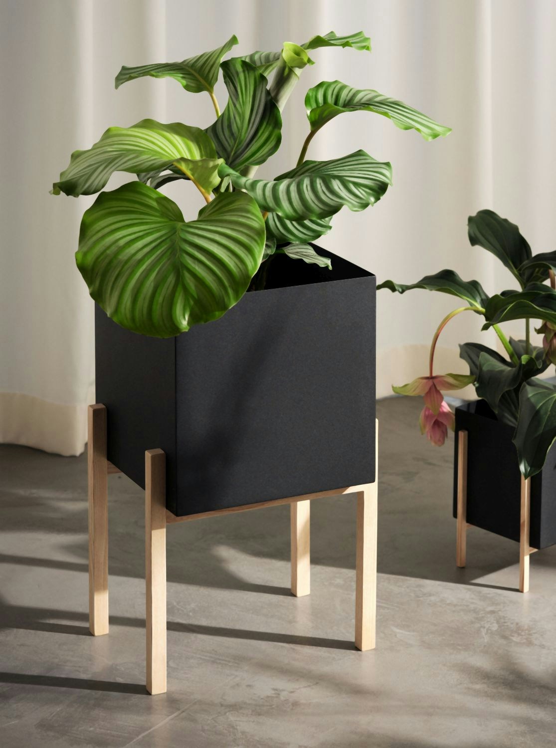 groe blumenksten Coemo Blumenkasten Riga gro Holz Kruterbeet Pflanzkbel