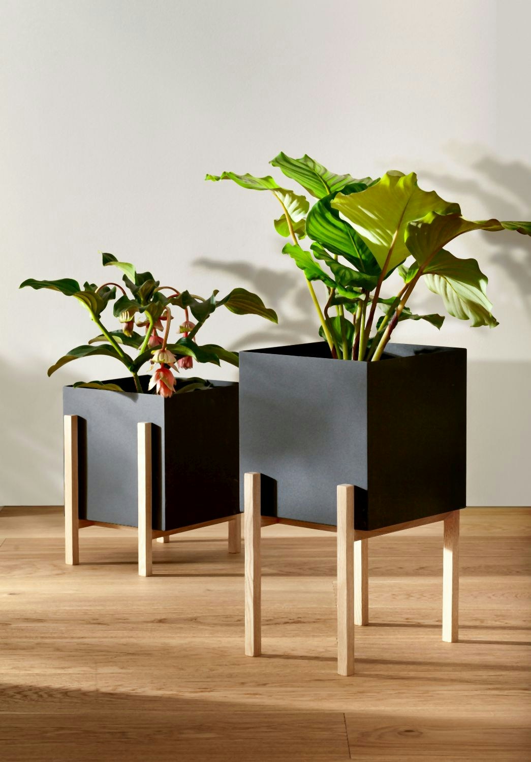 Design House Stockholm Botanic Pedestal Pot Pflanztopf - anthrazit kaufen |  SCHNER WOHNEN-Shop