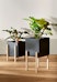 Design House Stockholm - Botanic Pedestal Pot bloempot - antraciet - 5 - Preview