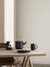 Stelton - Theo Theepot - 4 - Preview