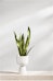 Iittala - Pot de fleur Nappula - 2 - Aperçu