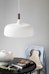 Northern - Acorn Hanglamp - 1 - Preview