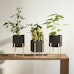 Design House Stockholm - Pot de fleur Botanic - anthrazit - 6 - Aperçu