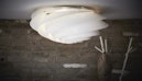 Le Klint - Swirl plafond-/wandlamp - 7 - Preview