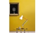 Anglepoise - Type 75™ Paul Smith Special Edition 3 - LED - 12